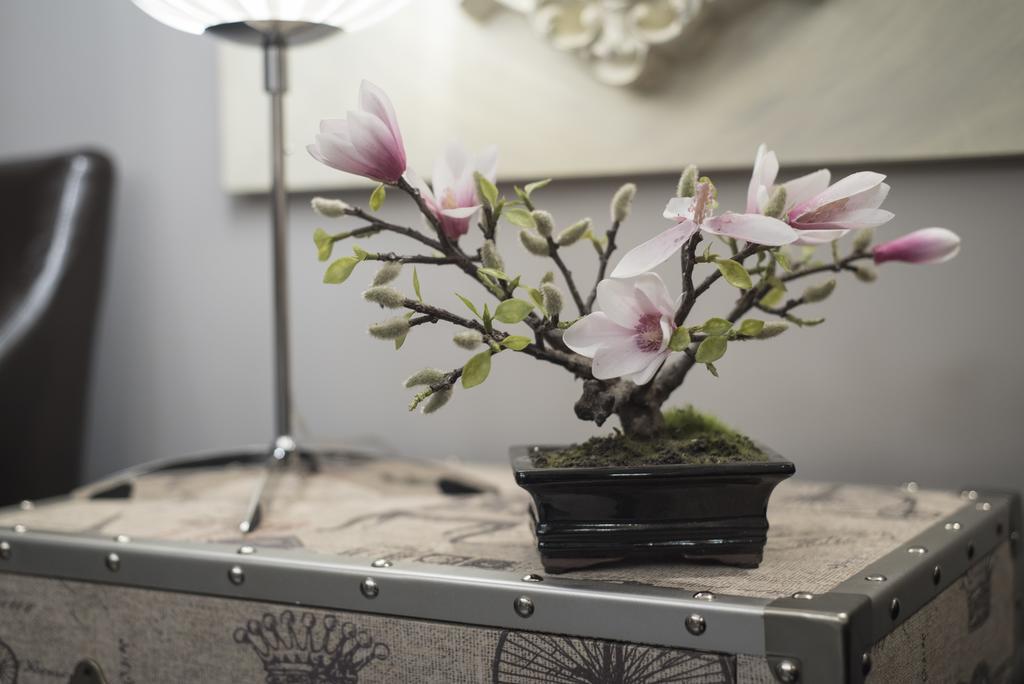 Hostal Emeritae 메리다 외부 사진